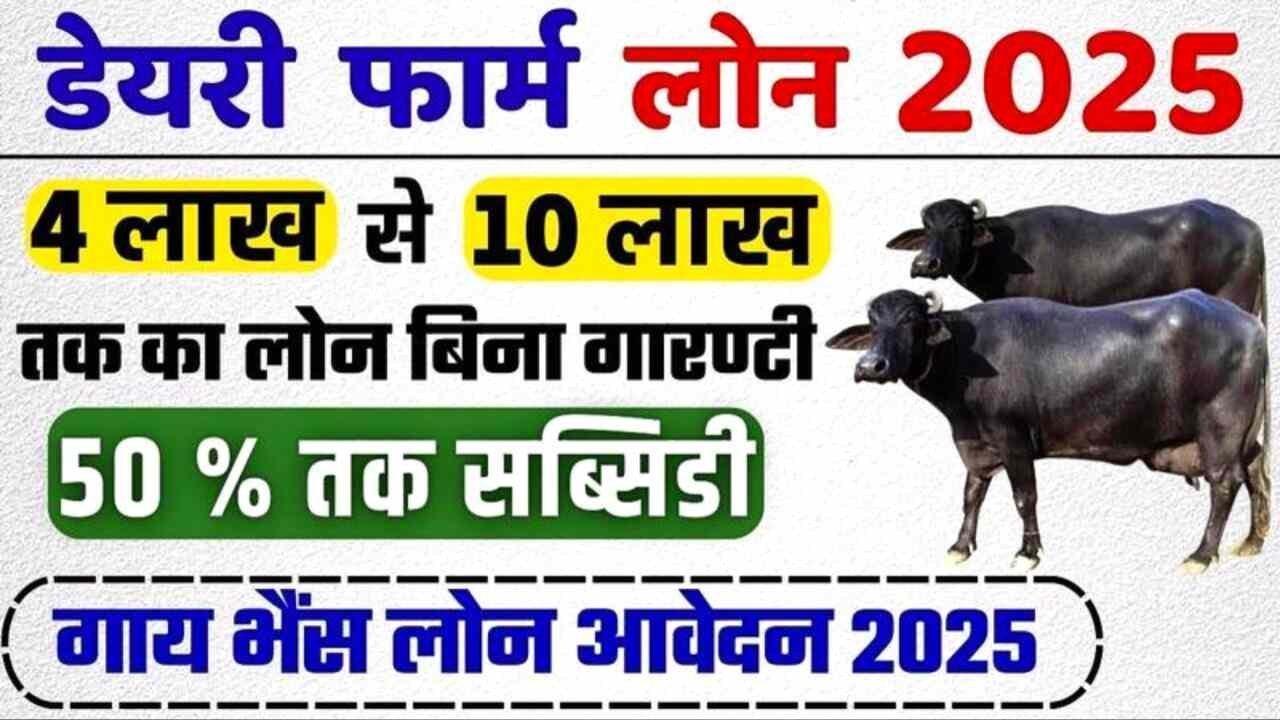 Dairy Farming Loan Apply Online: डेयरी फार्मिंग लोन योजना के आवेदन फॉर्म भरना शुरू